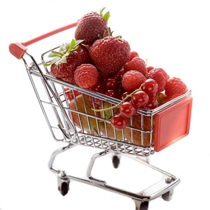 Shindel Mini Shopping Cart, Red Handle & Sign(1PCS)